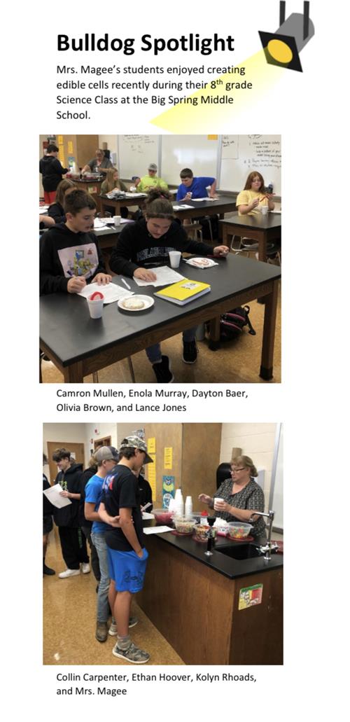Mrs. Magee's Class